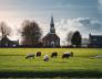 Wadden Oplaad Workshops: Gratis kennismaken en ademwerk